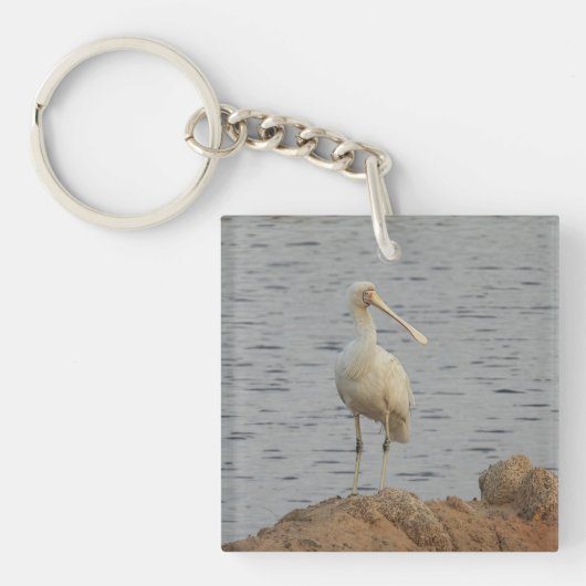 Porte-clés Oiseau spatule (Devant)