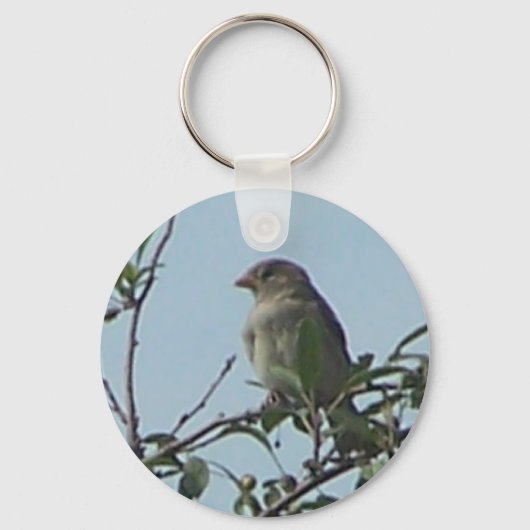 Porte-clés Oiseau sur la branche (Recto)