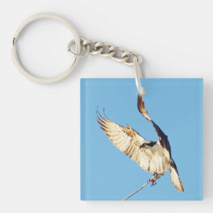 Porte-clés Oiseaux de Balbuzard volant Porte - clé acrylique