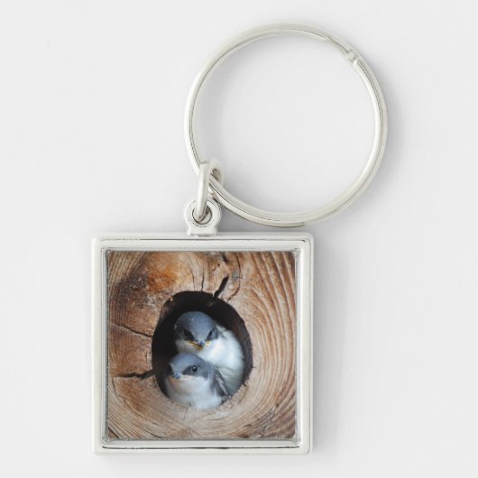 Porte-clés Oiseaux de bébé (Devant)