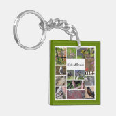 Porte-clés Oiseaux de Boston Photo Collage (Devant gauche)