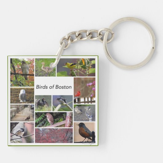 Porte-clés Oiseaux de Boston Photo Collage (Dos)