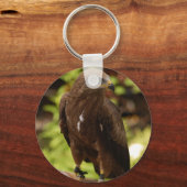 Porte-clés Oiseaux de proie (Recto)