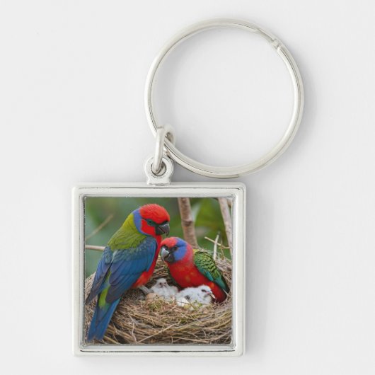 Porte-clés Oiseaux Rosella (Devant)