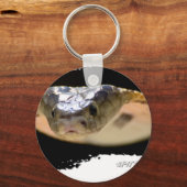 Porte-clés Ojatro Cobra à cracher 01 (Recto)