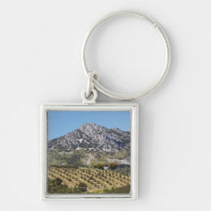 Porte-clés Oliveraies
