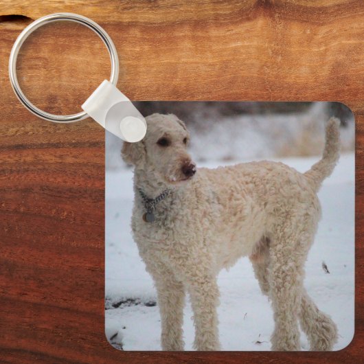 Porte-clés Ollie (Recto)