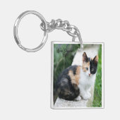 Porte-clés Opera Phantom Chat (Devant gauche)