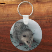 Porte-clés opossum (Recto)