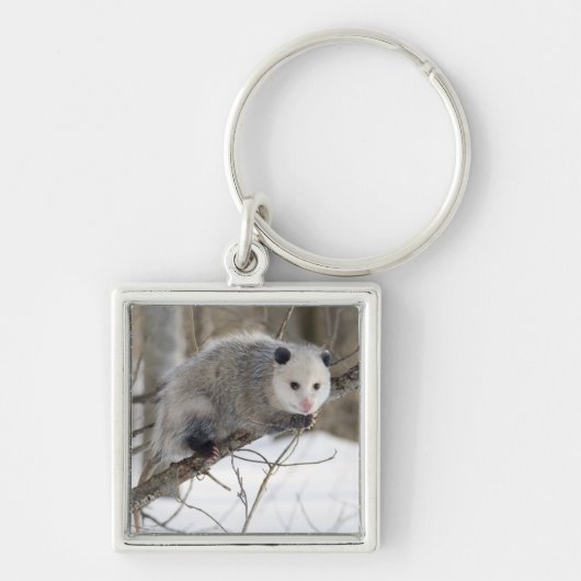 Porte-clés Opossum Love (Devant)