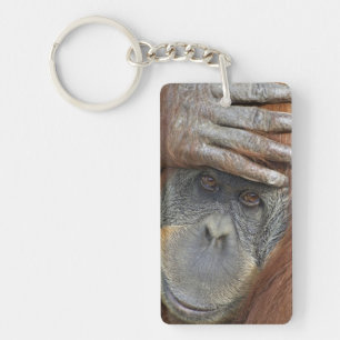 Porte-clés Orang-outan de Sumatra femelle captif
