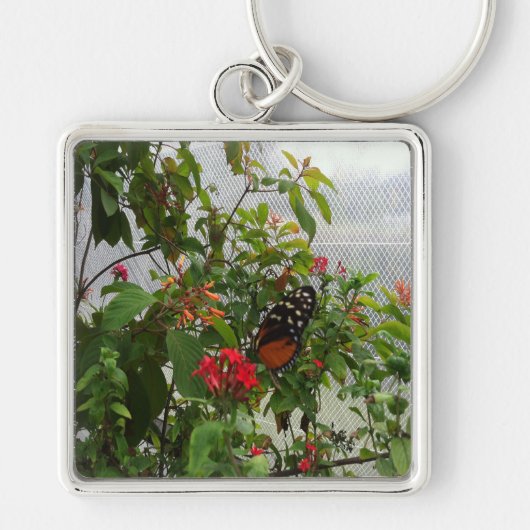 PORTE-CLÉS ORANGE BUTTERFLY (Devant)