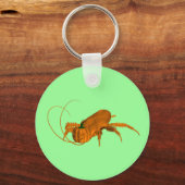 Porte-clés Orange Cockroach (Recto)