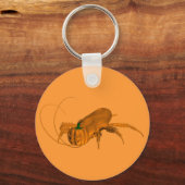 Porte-clés Orange Cockroach (Recto)