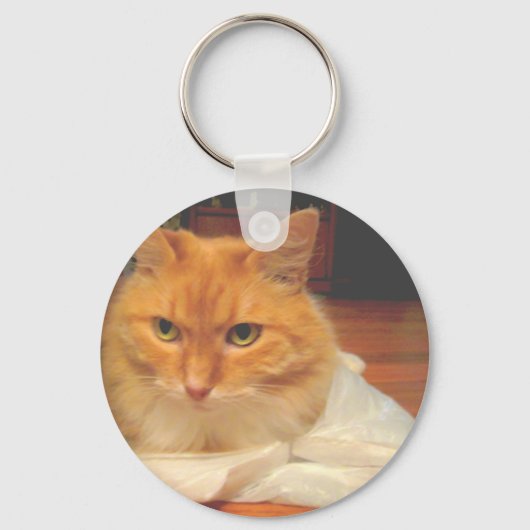 Porte-clés Orange Tabby (Recto)