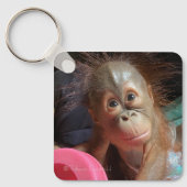 Porte-clés Orangutan Baby (Recto)