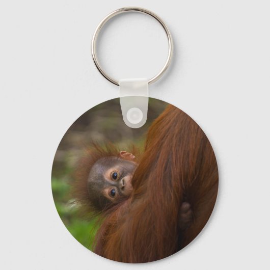 Porte-clés Orangutan Baby Avoir Un Jeu (Recto)