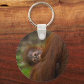 Porte-clés Orangutan Baby Avoir Un Jeu (Recto)