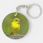 Porte-clés Orchard Oriole - Photo originale (Dos)