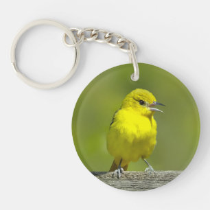 Porte-clés Orchard Oriole - Photo originale