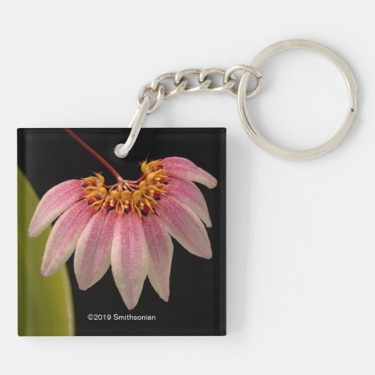 Porte-clés Orchidée rose tropicale (Dos)