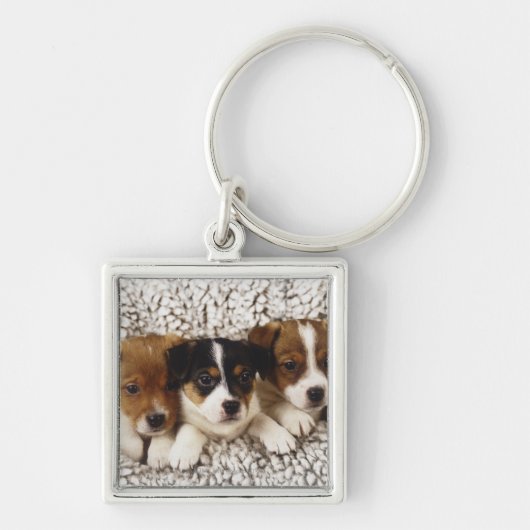 Porte-clés Ordures des chiots (Devant)