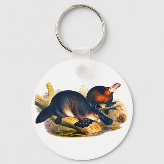 Porte-clés Ornithorynque (Recto)