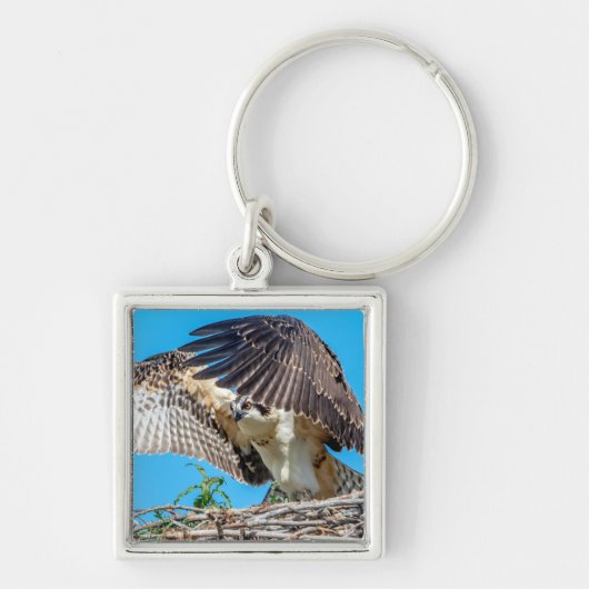 Porte-clés Osprey juvénile dans le nid (Devant)