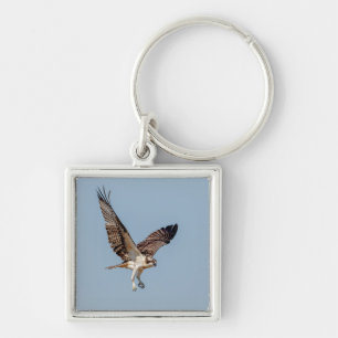 Porte-clés Osprey juvénile en vol