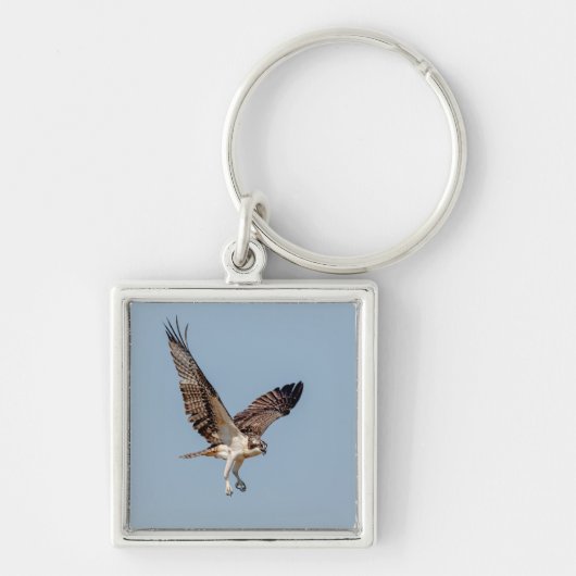 Porte-clés Osprey juvénile en vol (Devant)