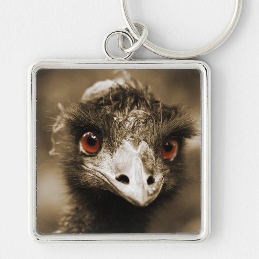 Porte-clés Ostriches Look porte - clé (Devant)