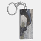 Porte-clés Otaria flavescens (Devant gauche)