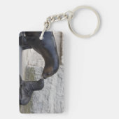 Porte-clés Otaria flavescens (Dos)