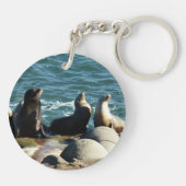 Porte-clés Otaries de San Diego (Dos)