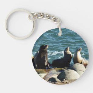 Porte-clés Otaries de San Diego