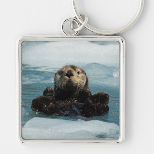 Porte-clés Otter flottante (Devant)