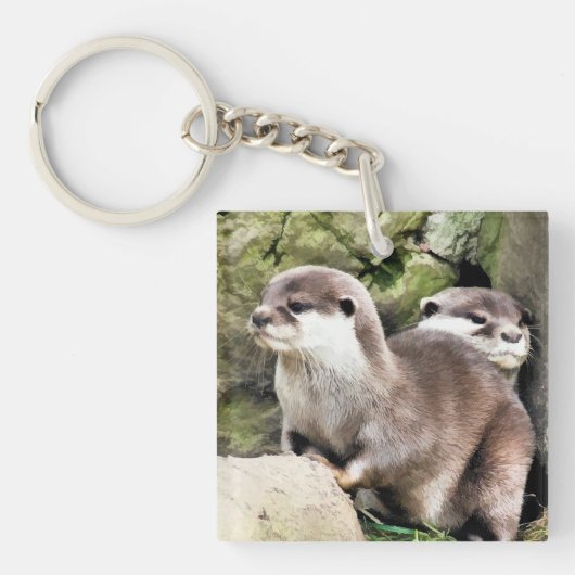 PORTE-CLÉS OTTERS (Devant)