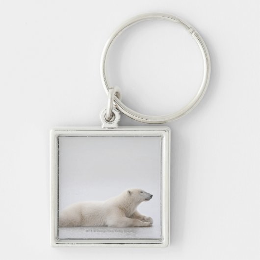 Porte-clés Ours blanc s'étendant sur un lac de glace (Devant)