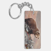 Porte-clés Ours Brown de Denali (Devant gauche)