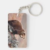 Porte-clés Ours Brown de Denali (Dos)