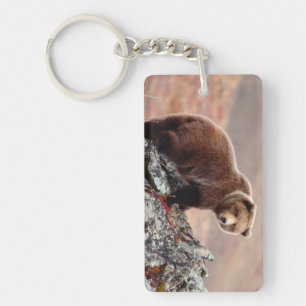 Porte-clés Ours Brown de Denali
