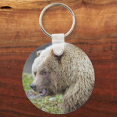 Porte-clés Ours Brown de l'Alaska (Recto)