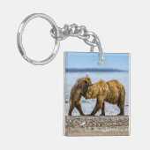 Porte-clés Ours brun côtier (Devant gauche)