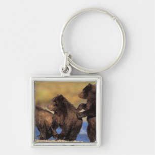 Porte-clés ours brun, Ursus arctos, grizzly, Ursus