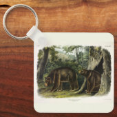Porte-clés Ours de cannelle des Quadrupeds d'Audubon (Recto)