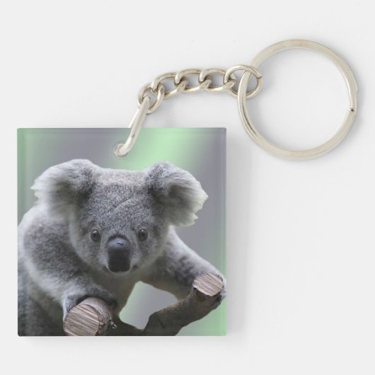 Porte-clés Ours de koala (Dos)