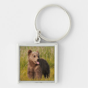 Porte-clés Ours drôle de bébé des images de Getty