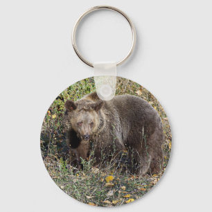 Porte-clés Ours gris