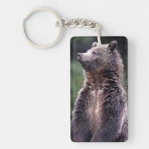 Porte-clés Ours gris debout