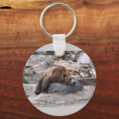 Porte-clés Ours Grizzli Reposant Sur Rocher (Recto)